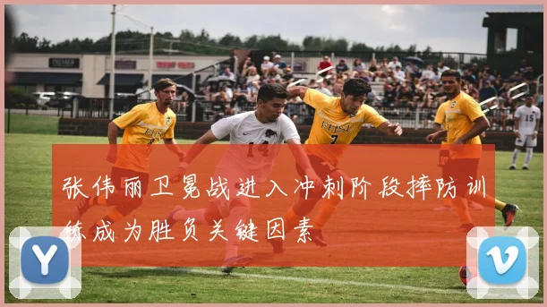 张伟丽卫冕战进入冲刺阶段摔防训练成为胜负关键因素